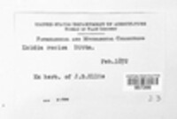 Image Associated With the Occurence